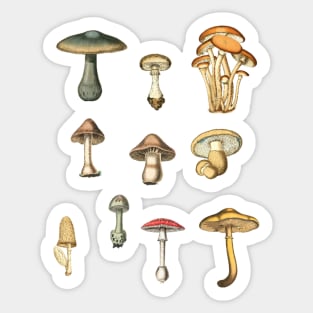 Simple Vintage Realistic Mushroom Pattern Sticker